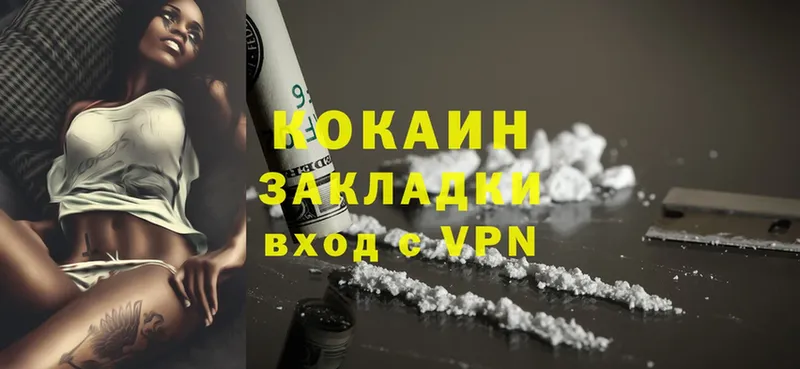 Cocaine Fish Scale  купить наркотики цена  Вуктыл 